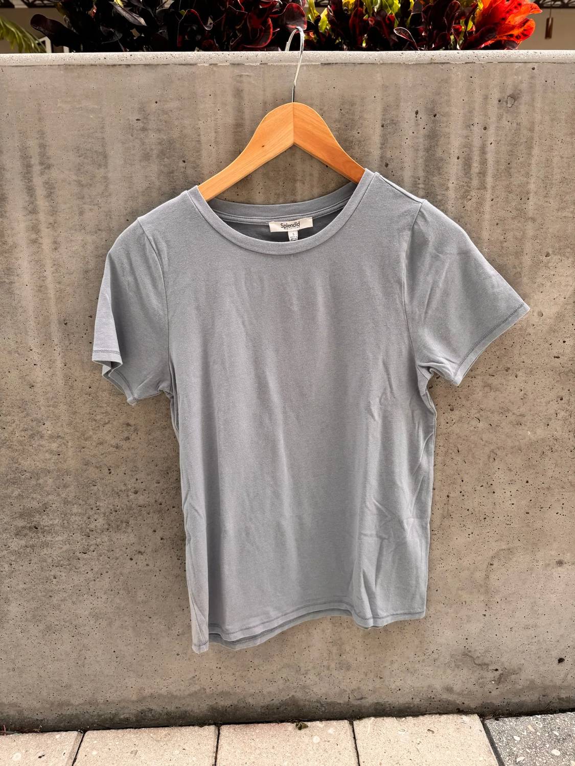 Splendid - Women's Genevieve Tee