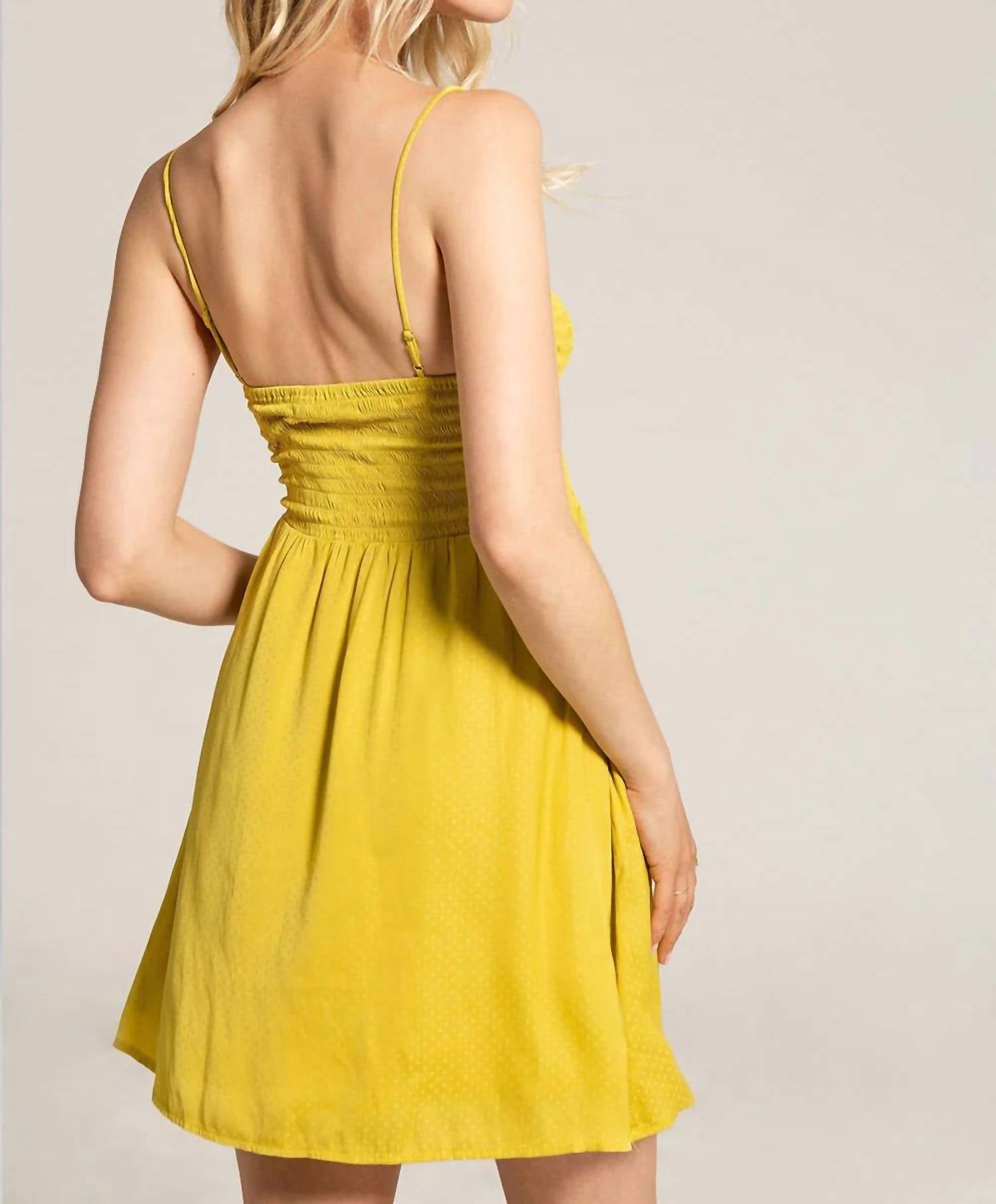 Saltwater Luxe - Ada Mini Tank Dress