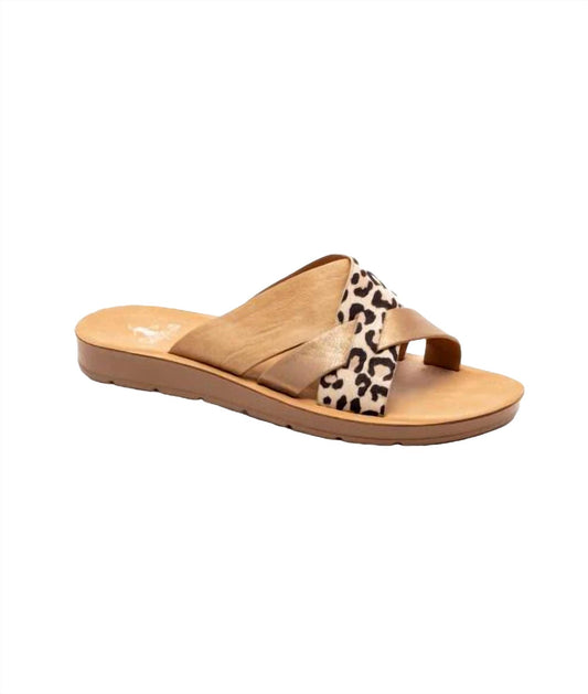 Corkys Footwear - Women's Charm Strap Sandal