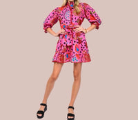 Ivy Jane - Mamba Shift Dress