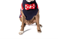Chilly Dogs - Bow Tie Dog Sweater