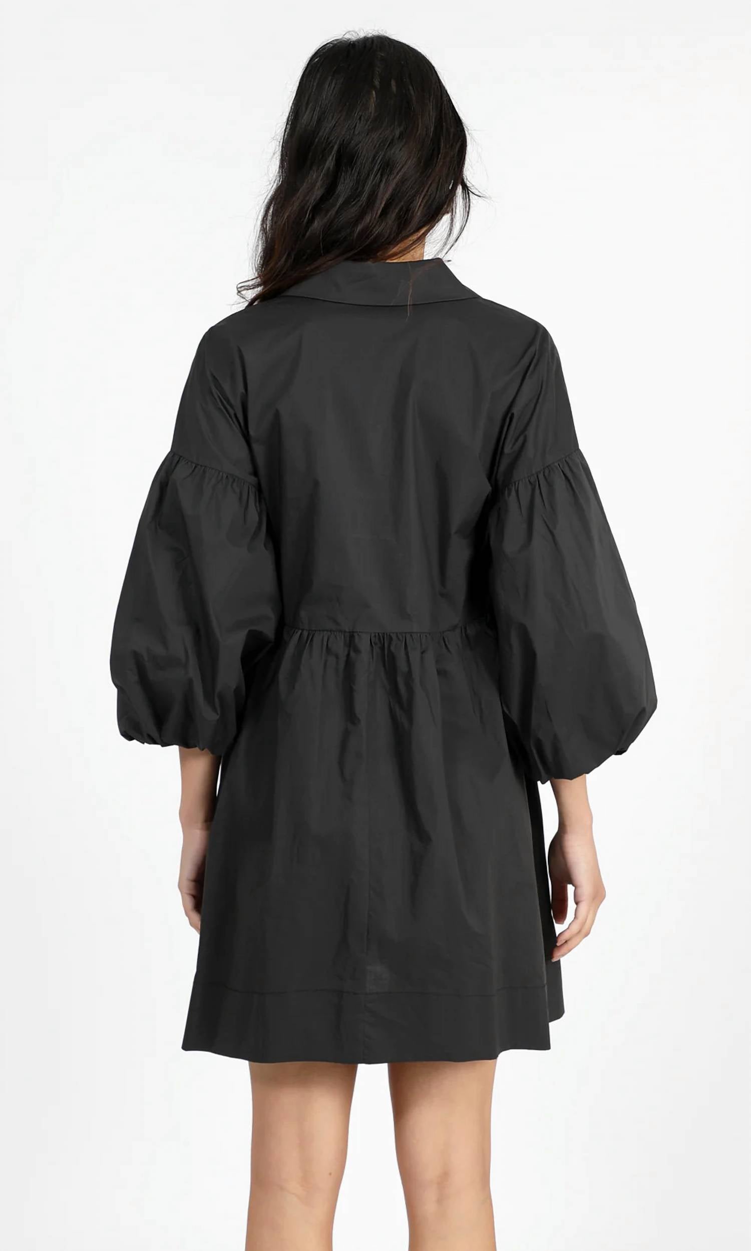 Greylin - Connie Balloon Sleeve Dress