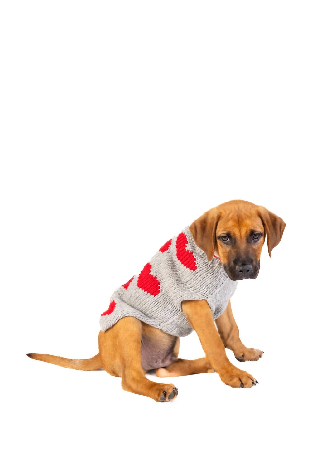 Chilly Dogs - Hearts Dog Sweater
