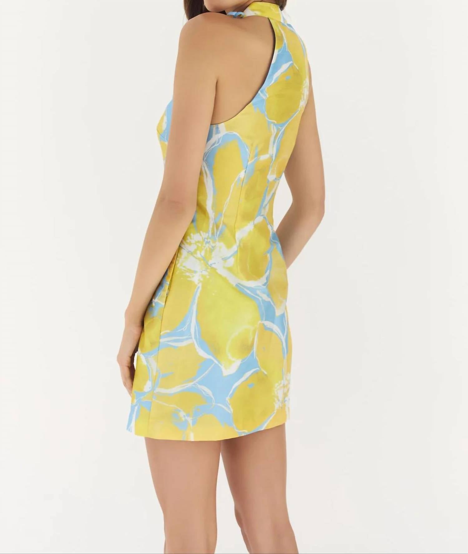 Hutch - Nami Mini Dress