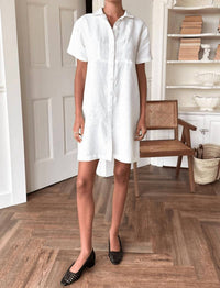 Emerson Fry - Potter's Shirtdress