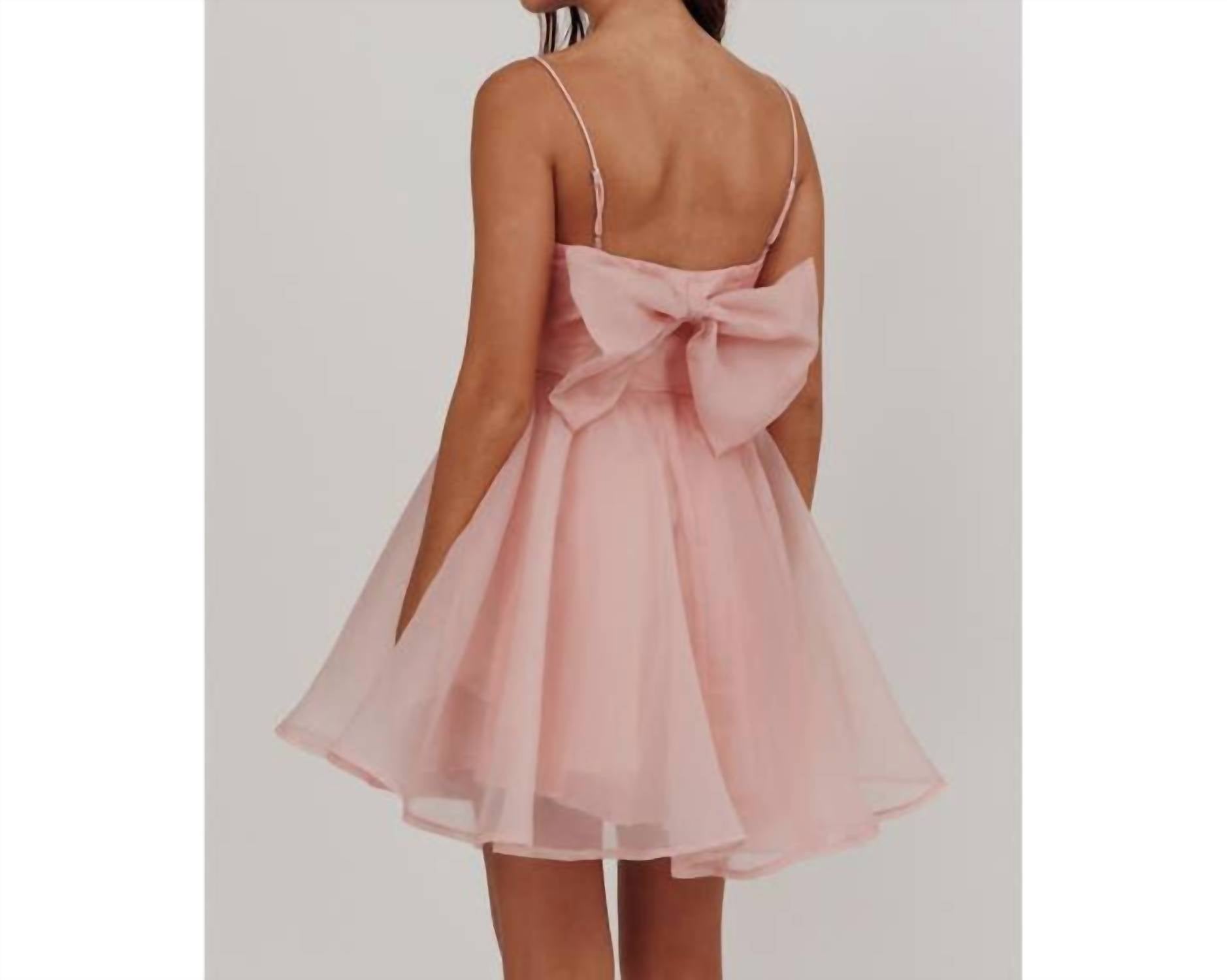 One And Only Collective - Sleeveless Organza Mini Dress