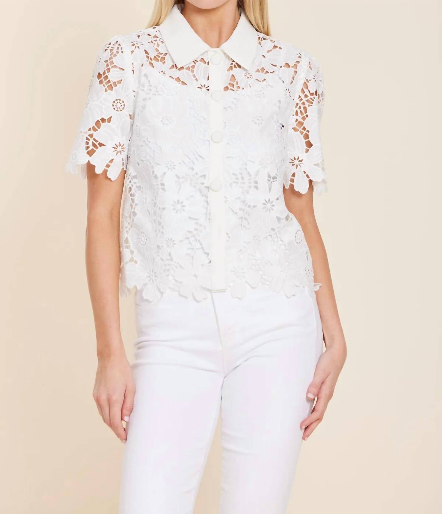 Dolce Cabo - Lace Top