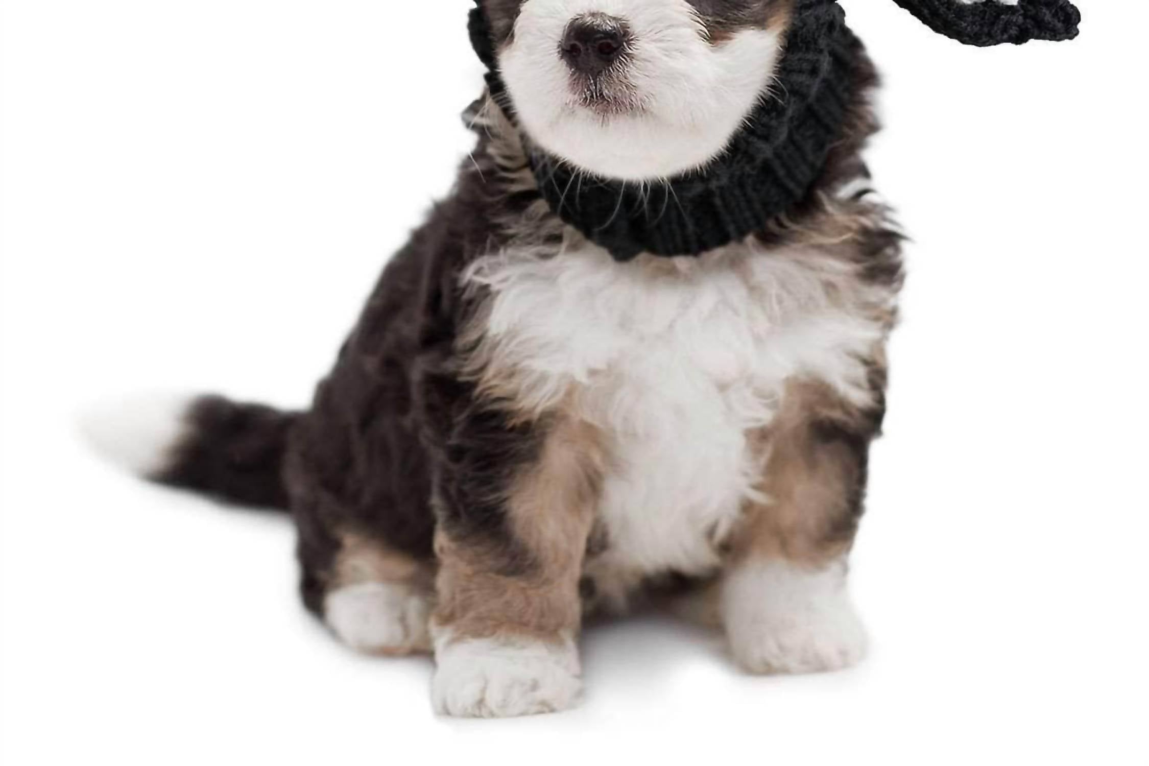 Zoo Snoods - Bull Snood