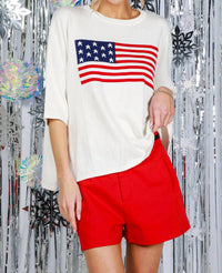 Vine & Love - American Flag Knitted Top