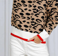 Vine & Love - V-neck Contrast Rib Knitted Sweater