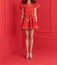 Celia B - Haze Mini Dress