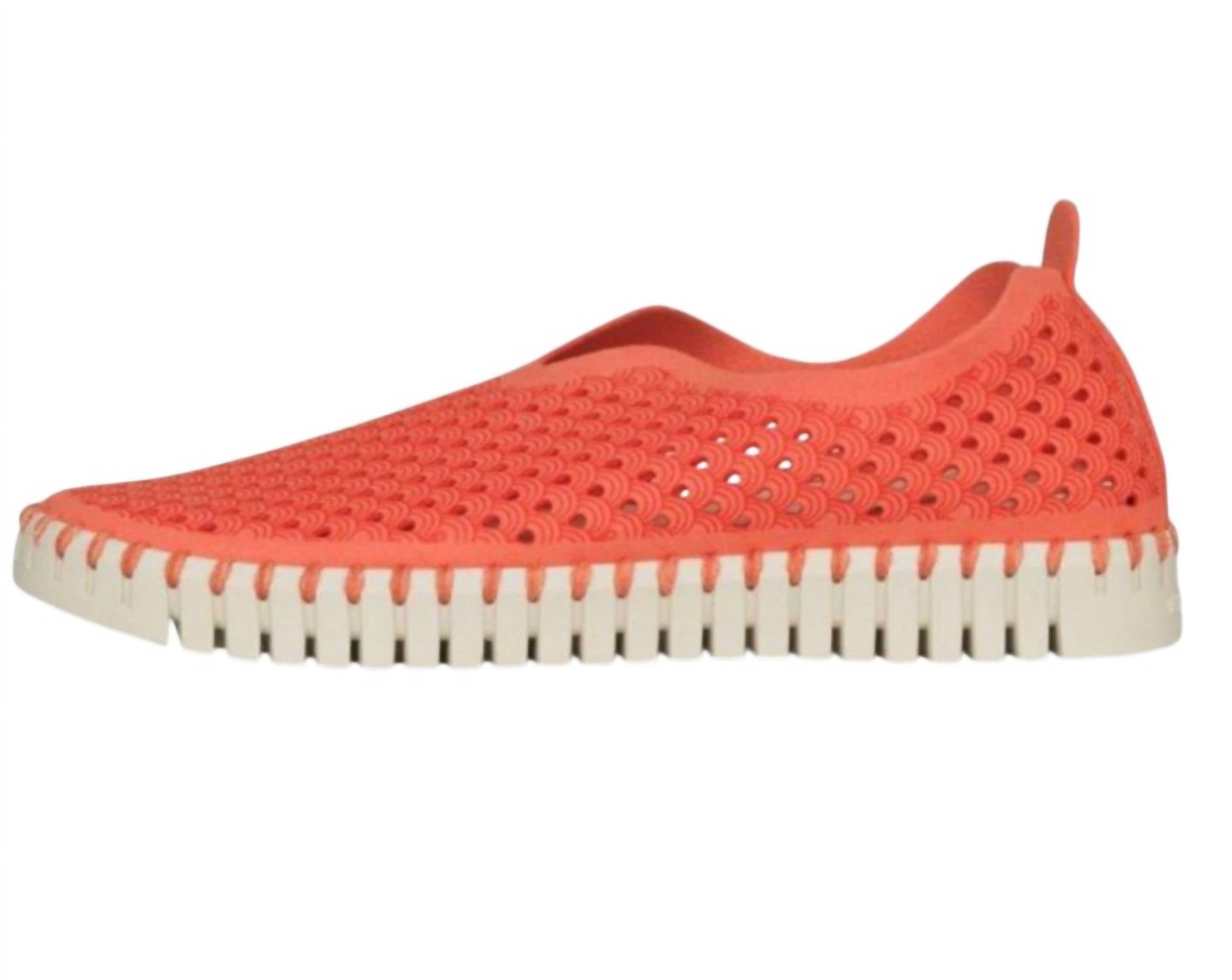 Ilse Jacobsen Women's Tulip Sneakers in raspberry white - women's sneaker