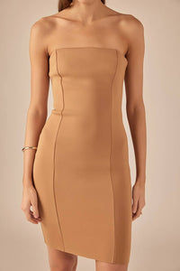 Endless Rose - Strapless Dress