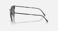 Ray Ban - New Clubmaster Large Non Polarized Sunglasses Rb4416 6653b1