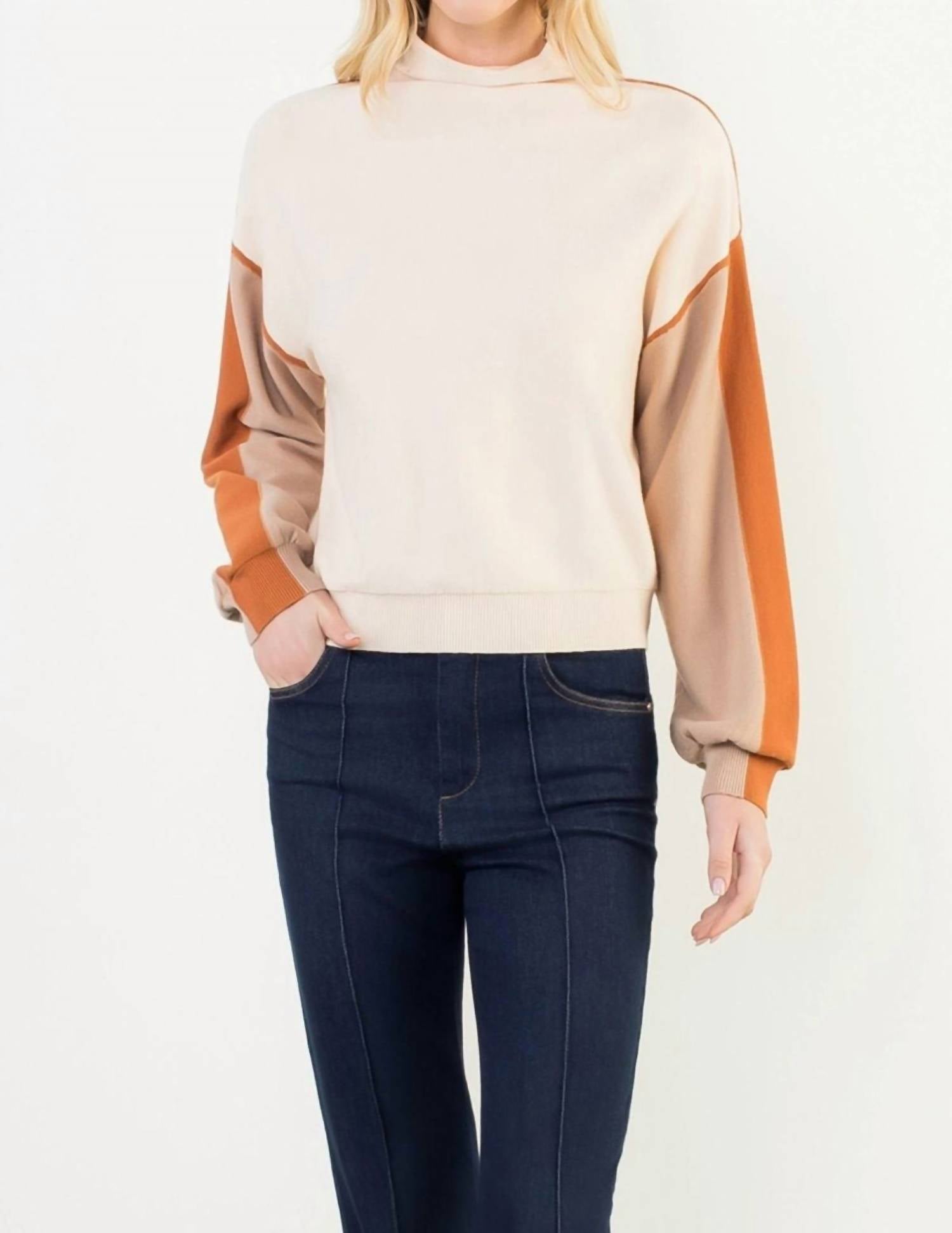 Thml - Colorblocked Mock Neck Sweater