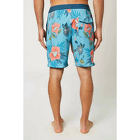 O'Neill - Foundation Cruzer Boardies