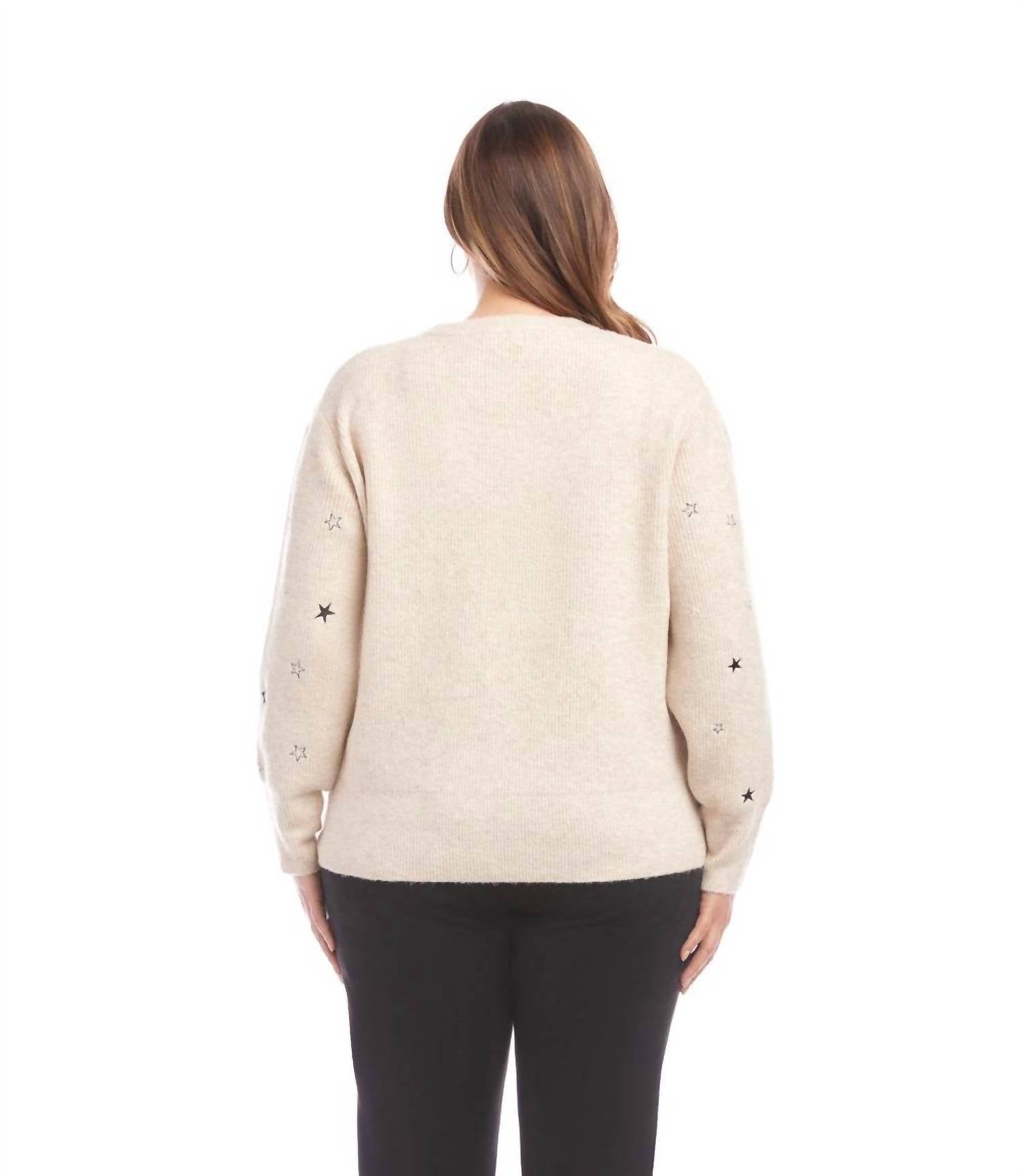 Karen Kane Embroidered Stars Sweater - Plus in oatmeal - women's sweater - alternate view