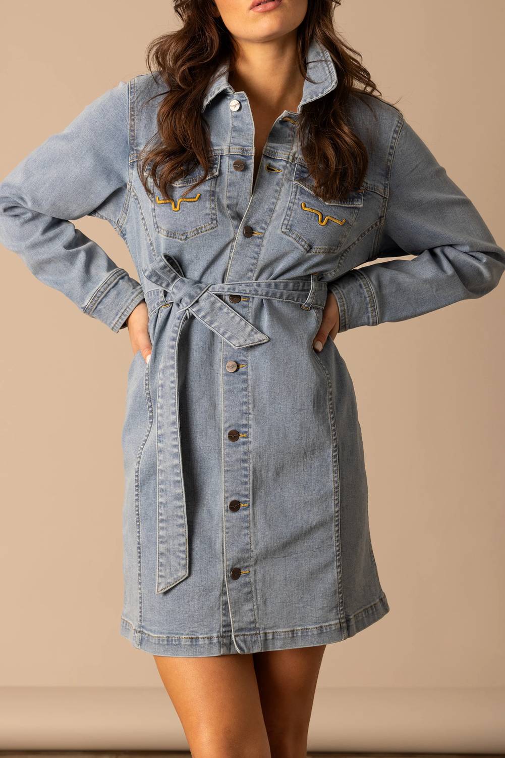 Kimes Ranch - Winslow Trucker Dress