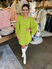 Ivy Jane - Deep V-neck Dress
