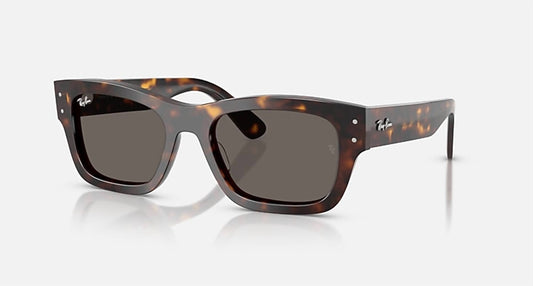 Ray Ban - Women's Mr. Burbank Sunglasses