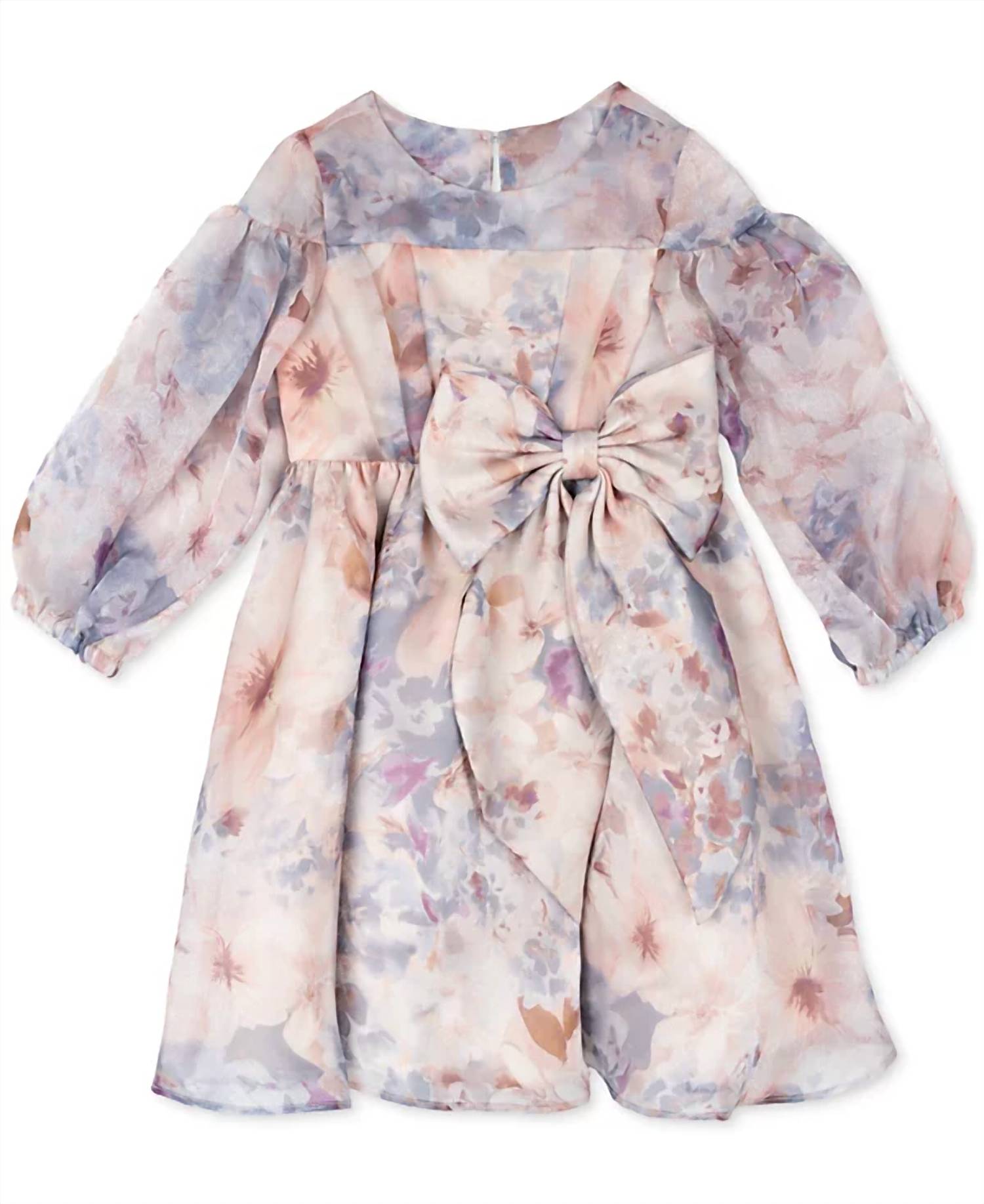 Rare Editions - Toddler & Little Girls Balloon Sleeve Floral Organza Dress
