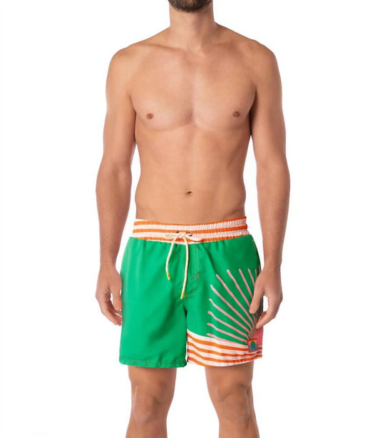 Maaji - Sunrise Colada Sailor Shorts