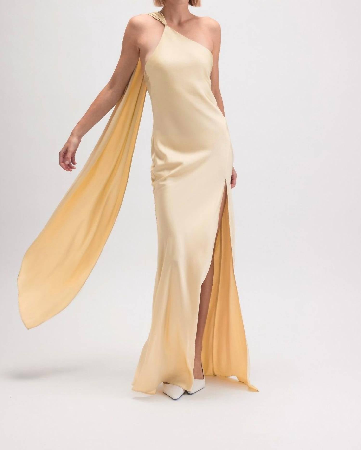 Fore Collection - Don't Call Me Baby Scarf Slip Maxi Dress