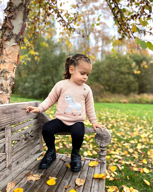 Girl's Pretty Pony Sweater