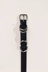 Dehanche - Women's Constance Belt