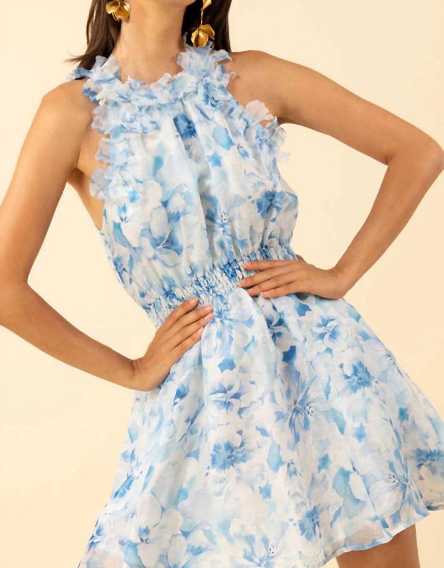 Hale Bob - Nala Organza Floral Trim Dress