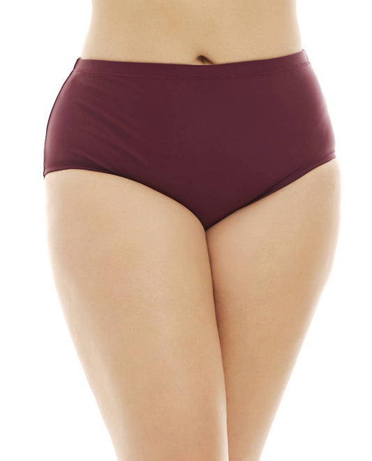 Raisins - Women's Curve Sayulita Bikini Bottom - Plus