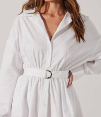 Astr - Winica Poplin Mini Dress