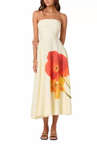 Astr - Ximena Dress