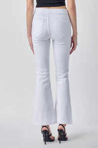 Cello - Flare Jegging - Petite