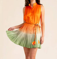 Alden Adair - Bella Ombré Mini Dress