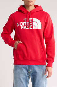 The North Face - Evolution Half Dome Hoodie