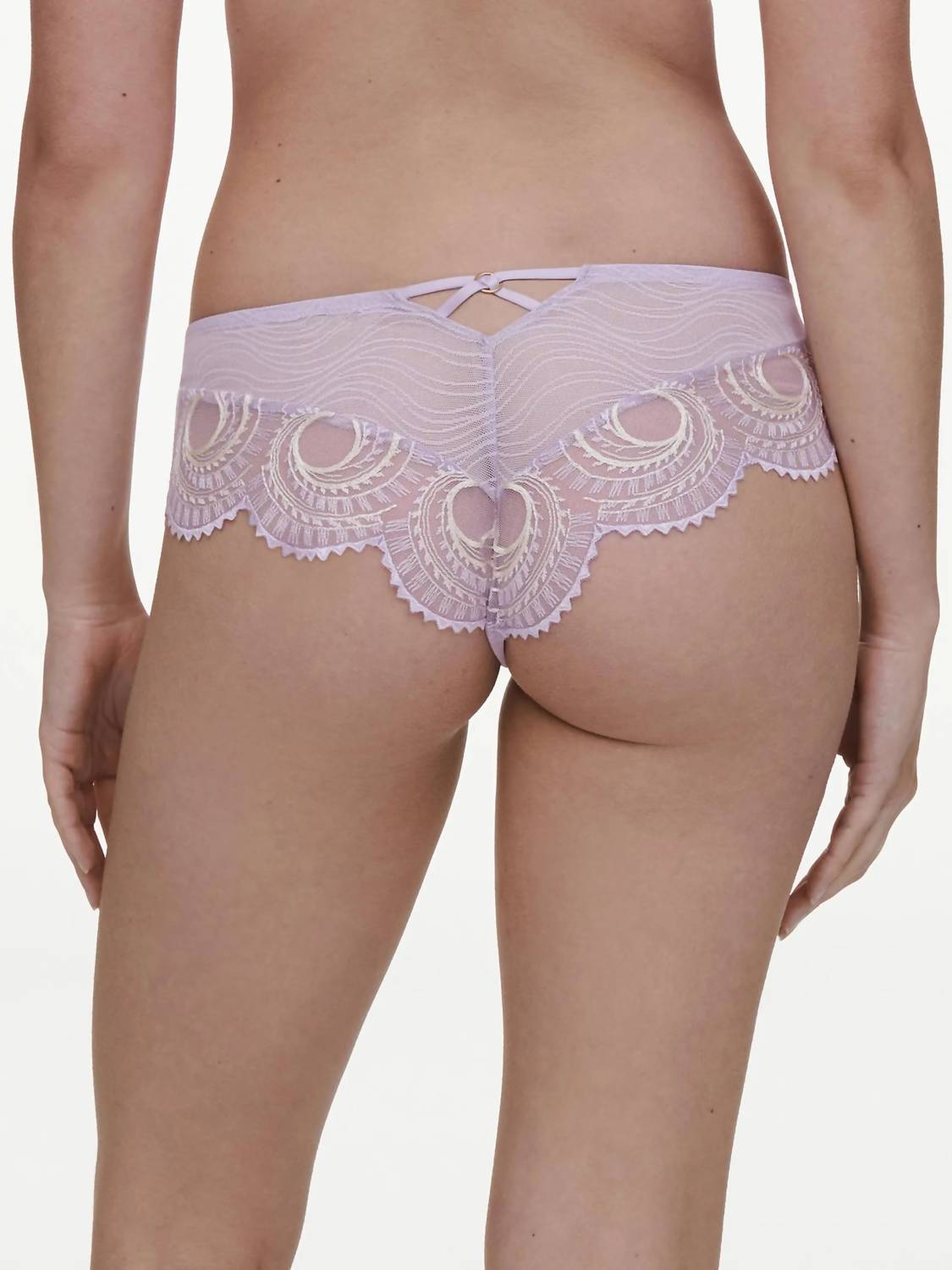 Chantelle - Mystic Dream Hipster Brief