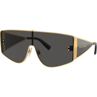 Dolce & Gabbana - Men's Dg2305 Fashion Sunglasses