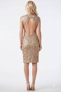 Sue Wong - Women's Cap Sleeve Embroidered Scalloped Dress