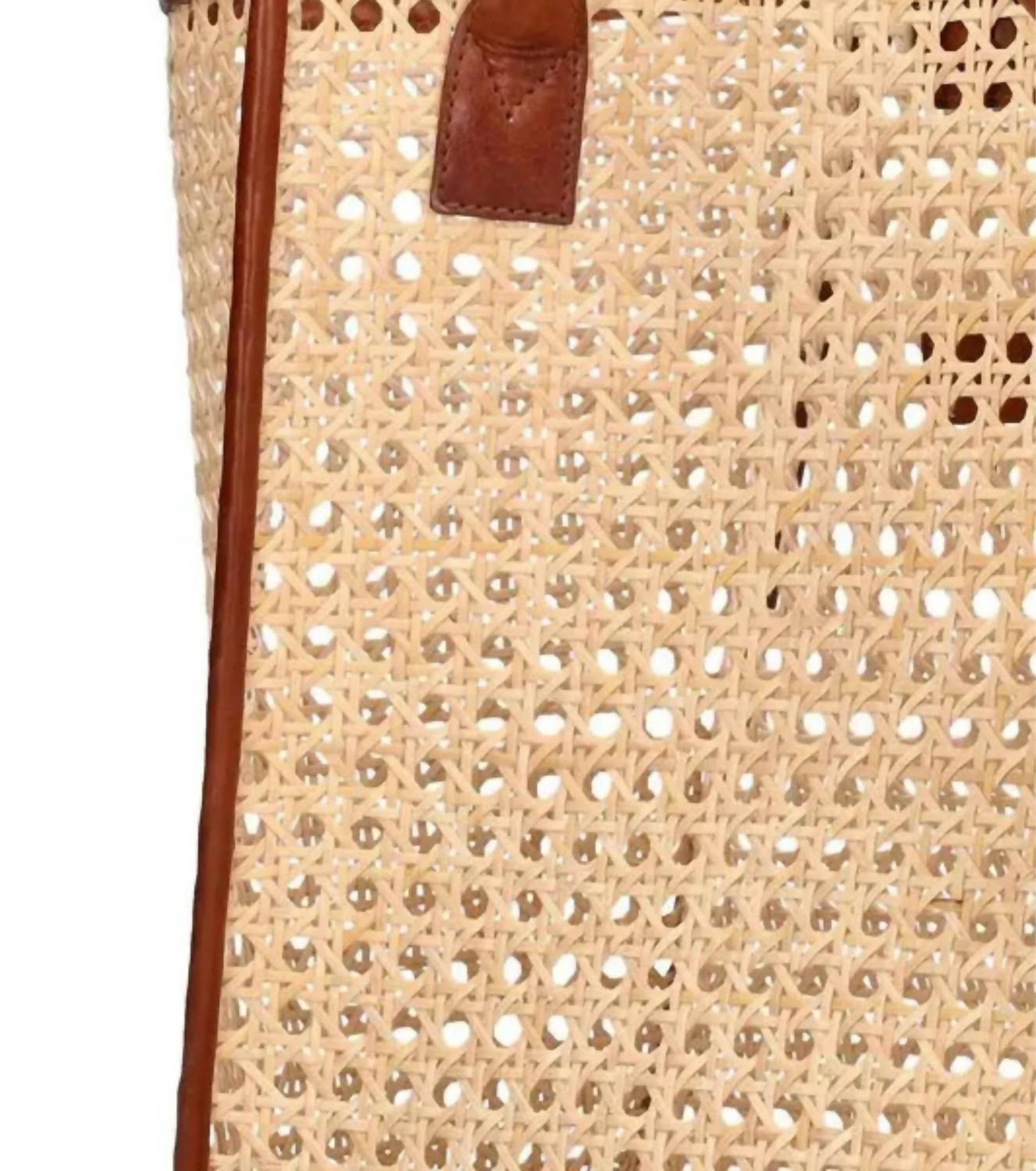 Bembien - Women's Rosa Tote Bag