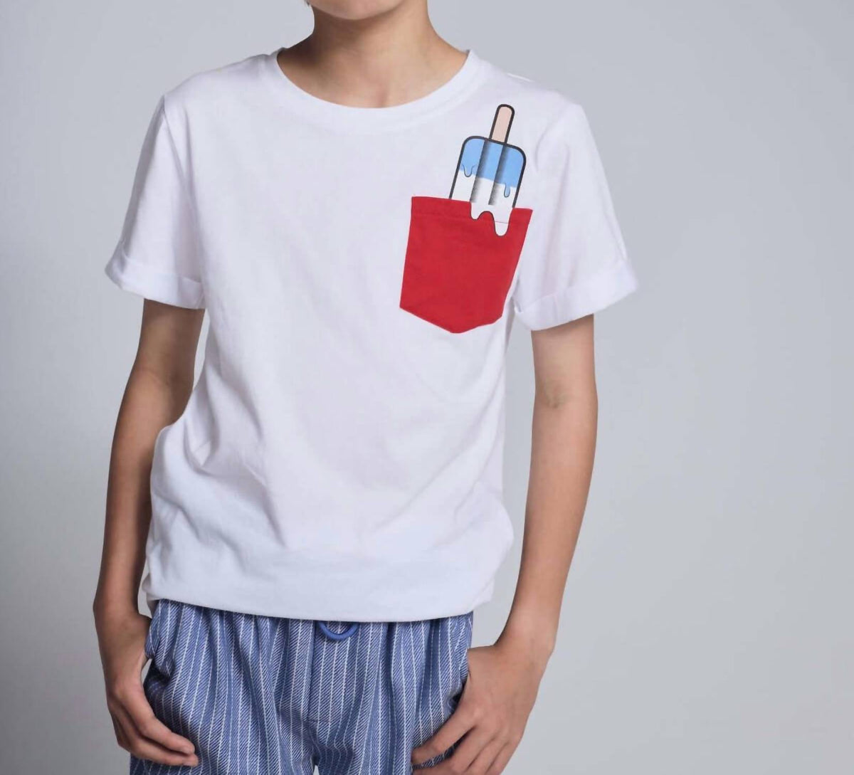 Appaman - Boy's Popsicle Day Trip Tee