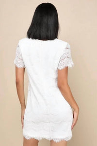 Lulus - Take Me To Brunch Lace Shift Dress