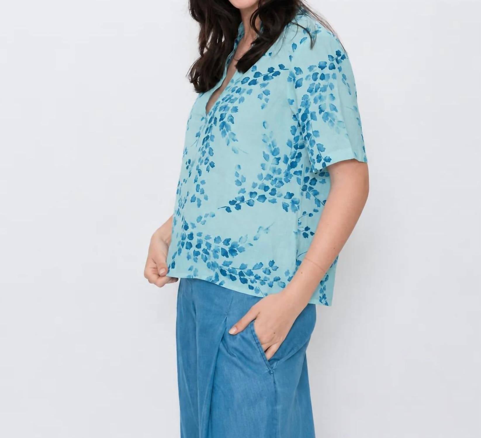 Blueberry - Popover Top