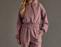 Panache Apparel Cropped Hooded Sweatshirt in dusty purple - women's top