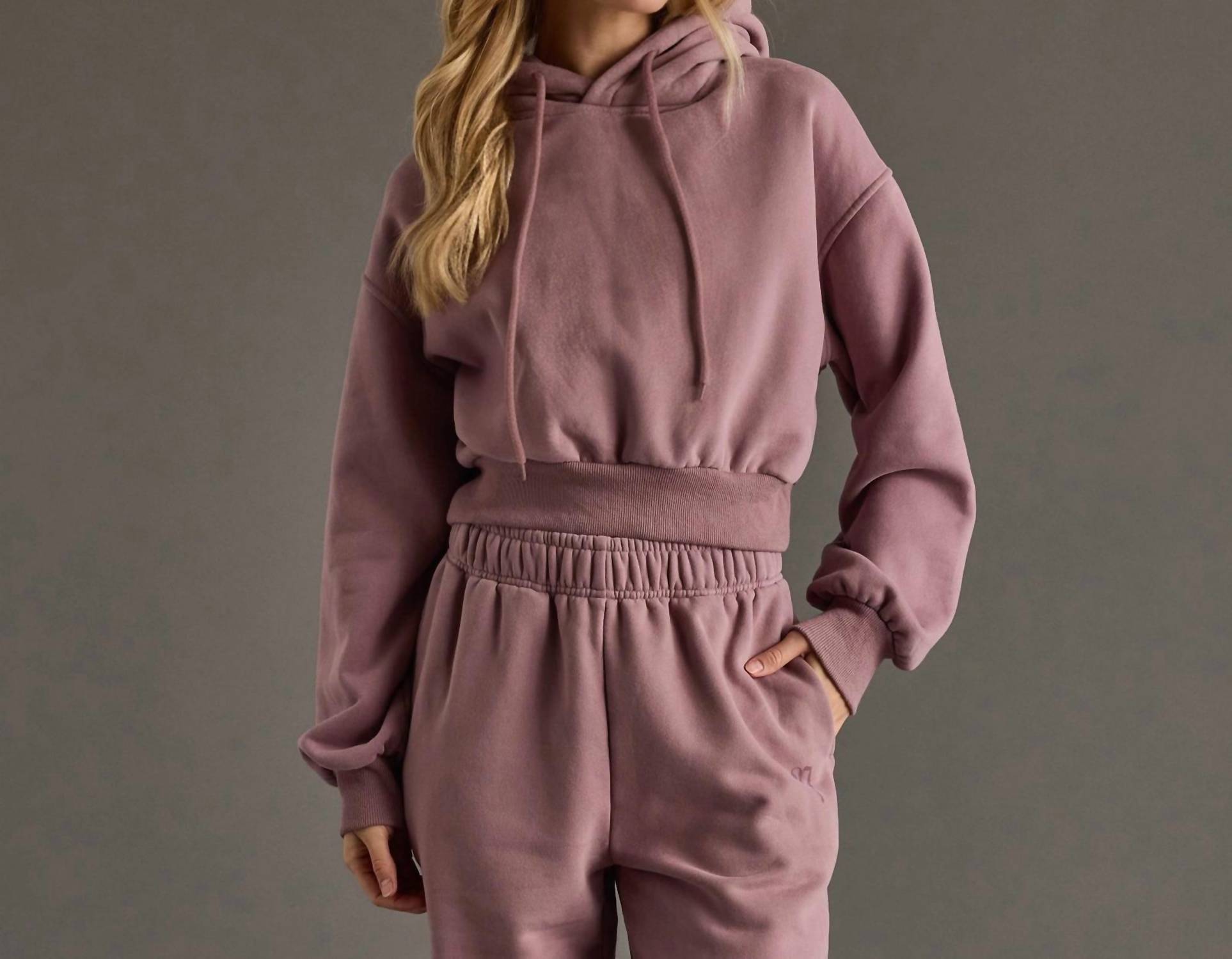 Panache Apparel Cropped Hooded Sweatshirt in dusty purple - women's top