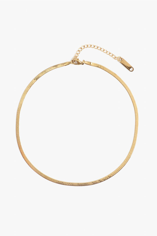Marrin Costello - Women's Ramsey Choker Necklace