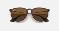Ray Ban - Erika Classic Polarized Sunglasses Rb4171 - 6593t5