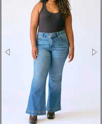 Judy Blue - Women's High-Rise Flare Jeans - Petite