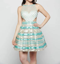 Last Dress - Pearl Net Tiffany Stripe Dress