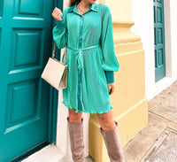 Fantastic Fawn - Pleated Tie Waist Mini Dress